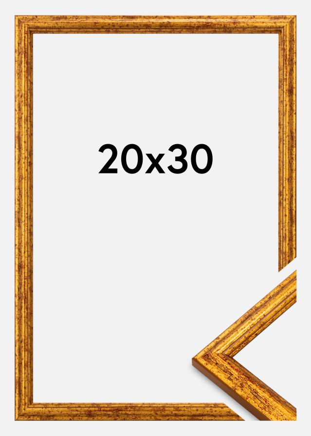 Rám Claudia Akrylglas Zlatá 20x30 cm