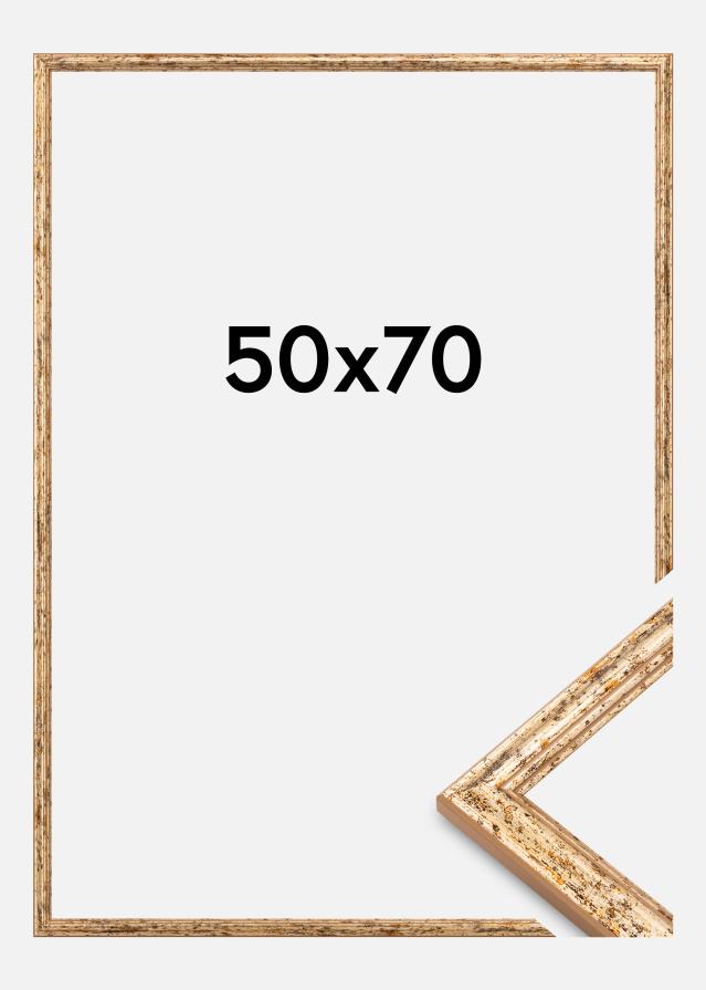 Rám Claudia Akrylglas Stříbrná 50x70 cm