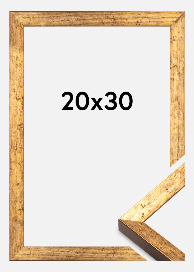 Rám Dune Akrylglas Zlatá 20x30 cm