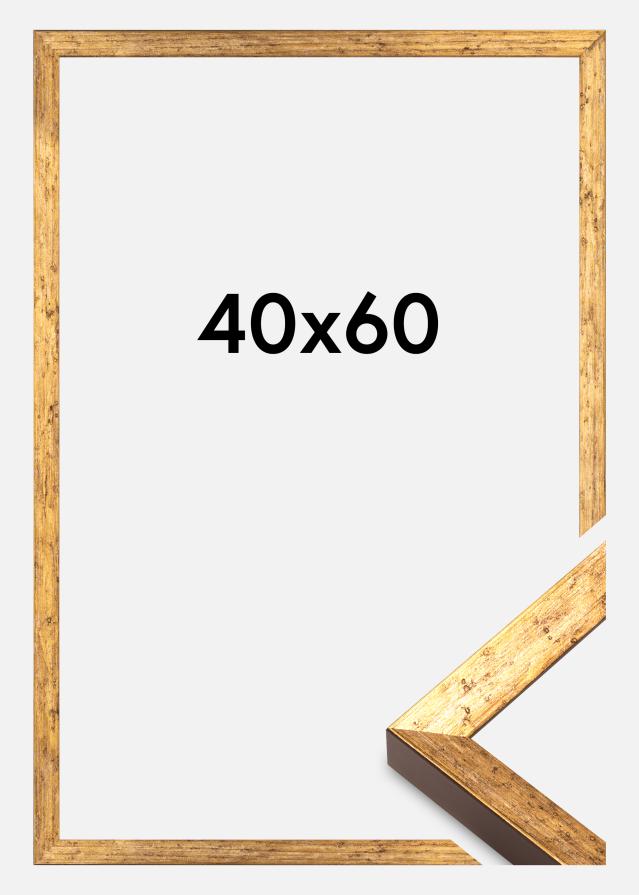 Rám Dune Akrylové sklo Zlatá 40x60 cm