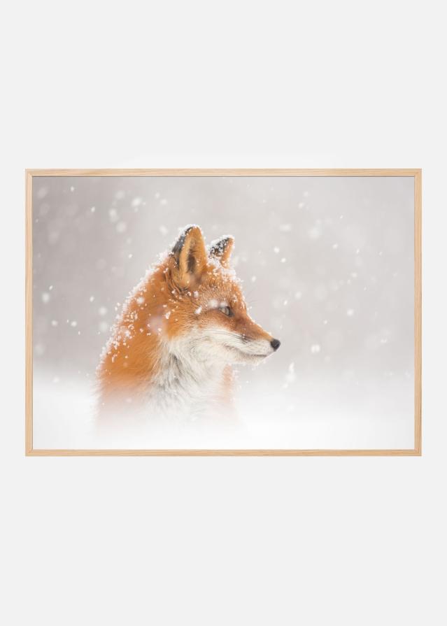 Snow is fallingab Plakát