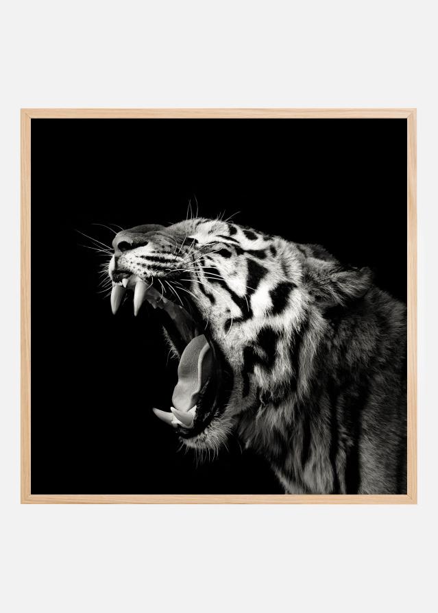 Primal Yawn #4 Plakát