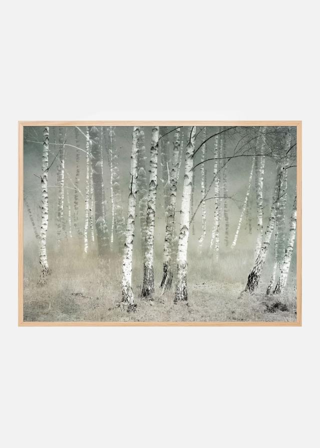 Morning silence Plakát