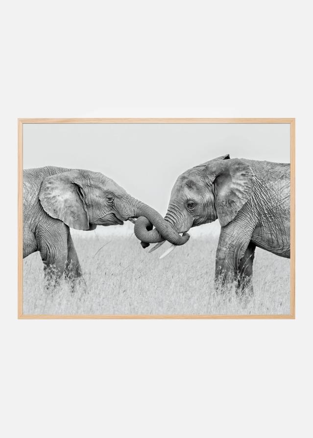 Confrontation Plakát