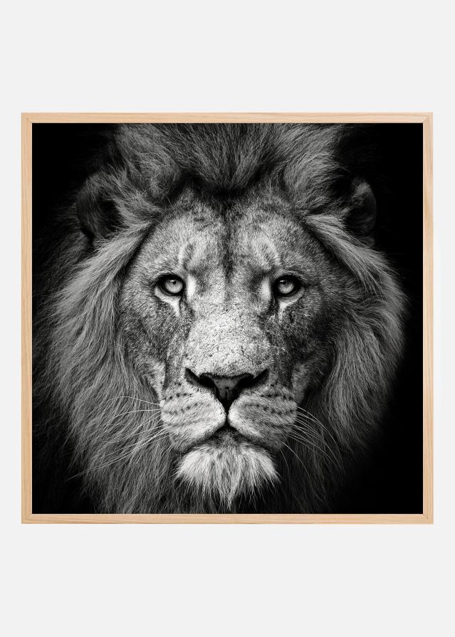 Stare Me Down #3 Plakát