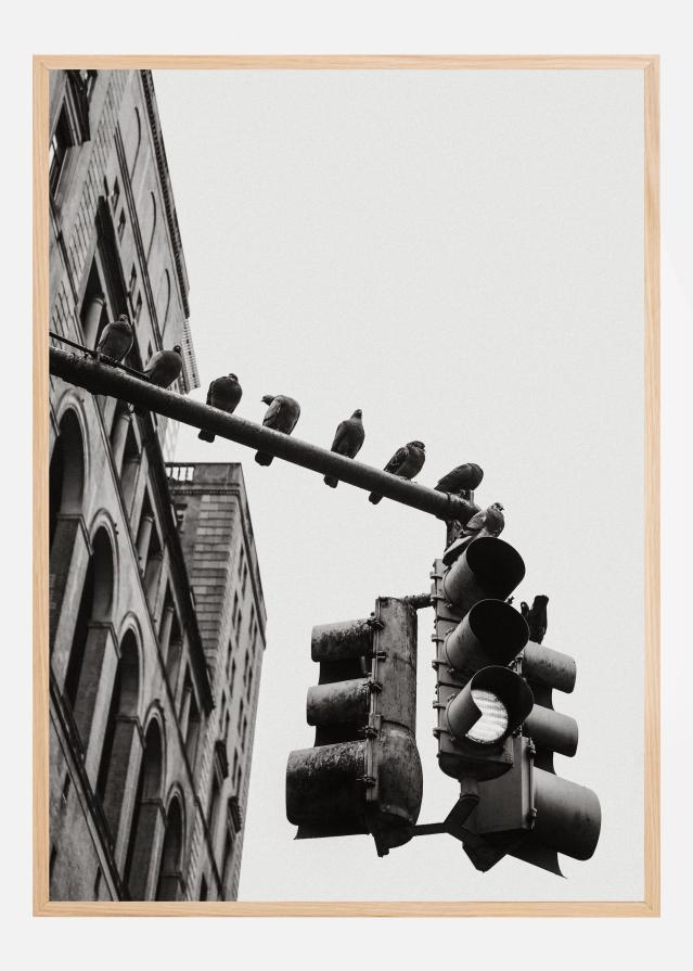 New York City Doves Plakát