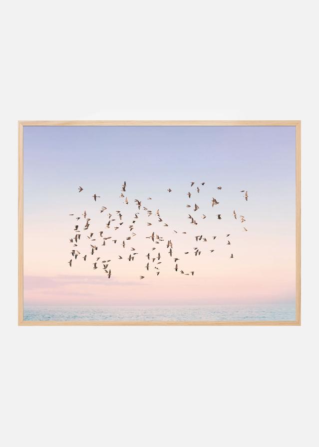 Sunset Flight Plakát