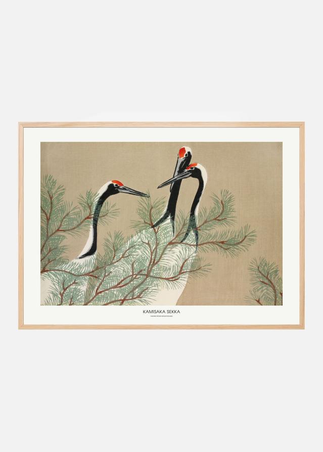 Cranes From Momoyogusa Plakát