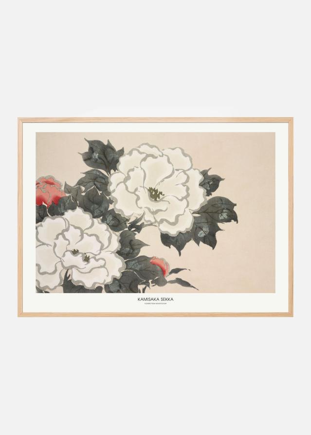 Flowers From Momoyogusa Plakát