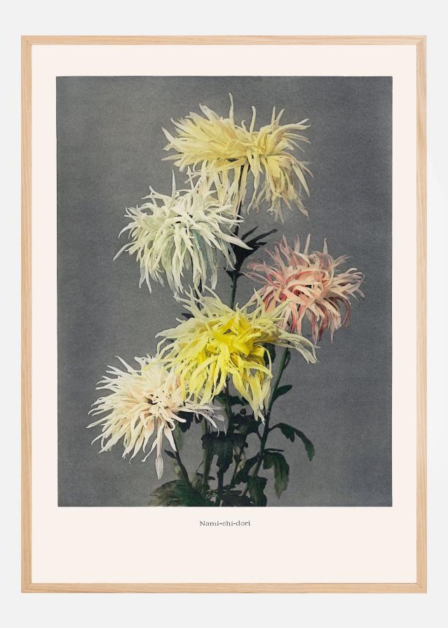 Namiachiadori Plakát