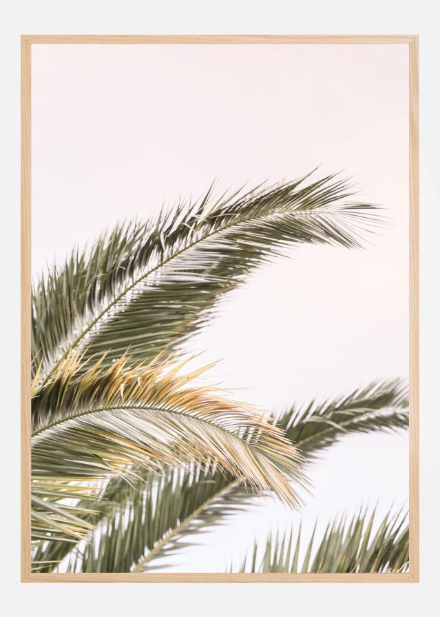 Oasis Palm 03 Plakát