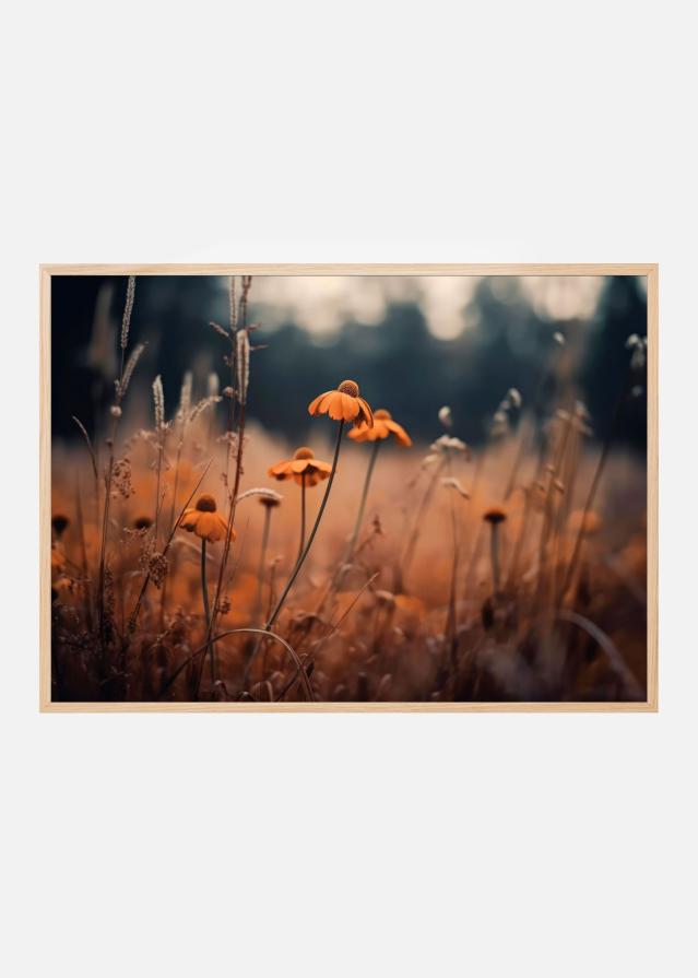 Orange Margarites Plakát