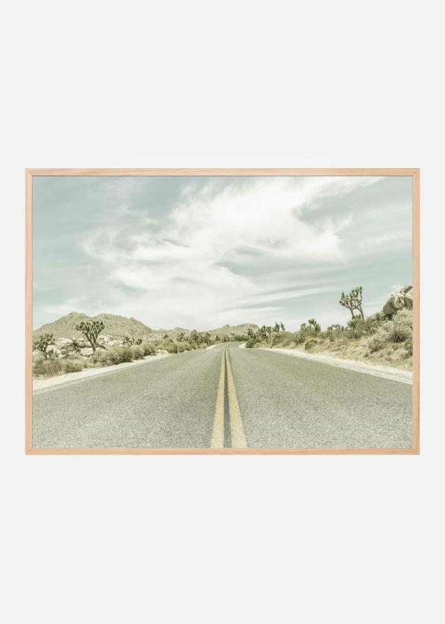 Vintage Joshua Trees Plakát