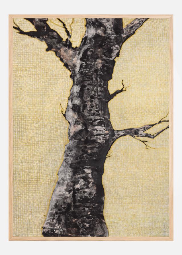 Aurum Naturae I Plakát