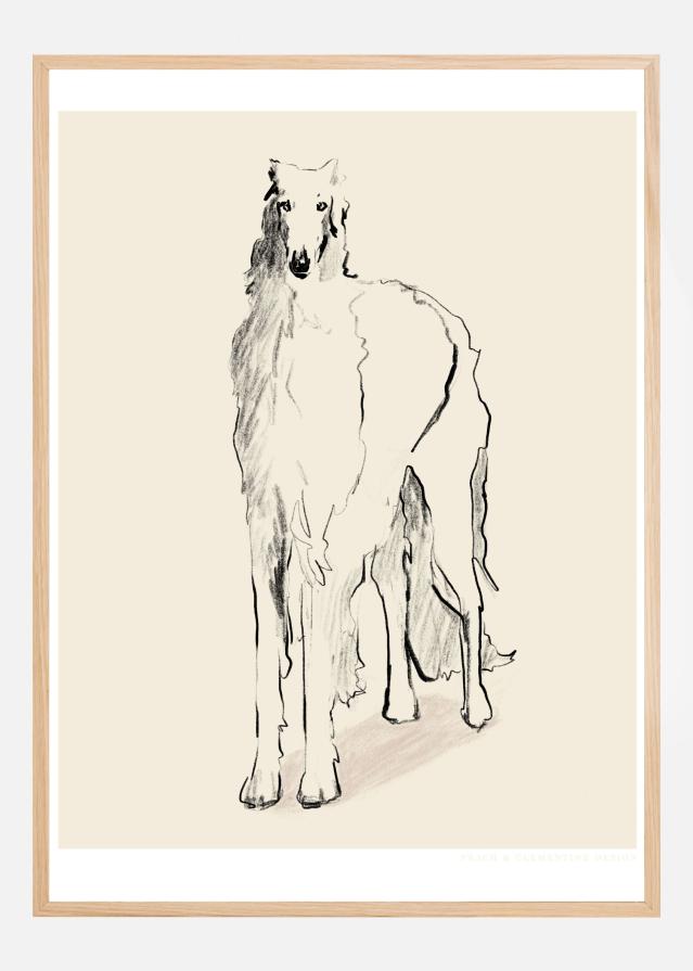 Borzoi Russian Wolfhound Pandc Plakát