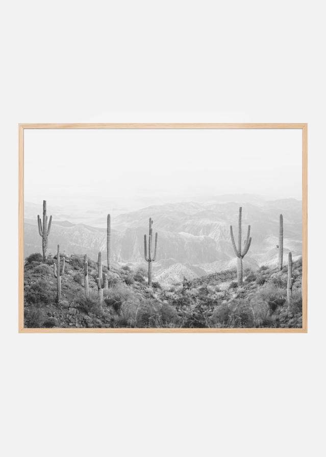 Western Cactus Plakát