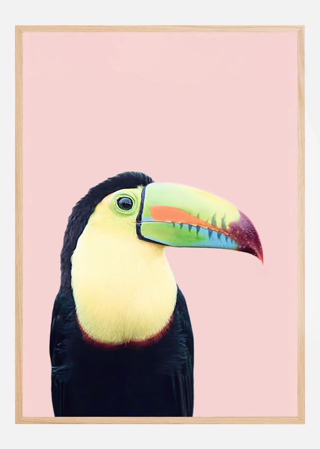Toucan on Pink Plakát