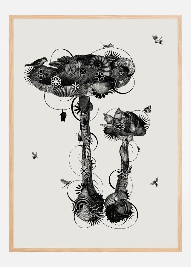 Amanita Mascara Plakát