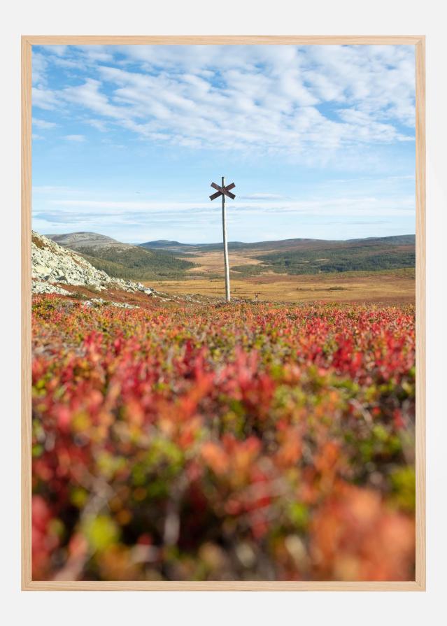 Summer ridge waypoint Plakát