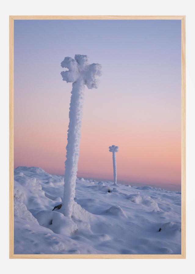 Winter blossoms Plakát