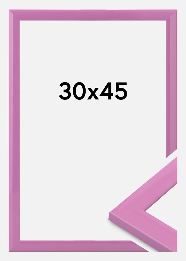 Rám Dorset Akrylové sklo Růžová 30x45 cm