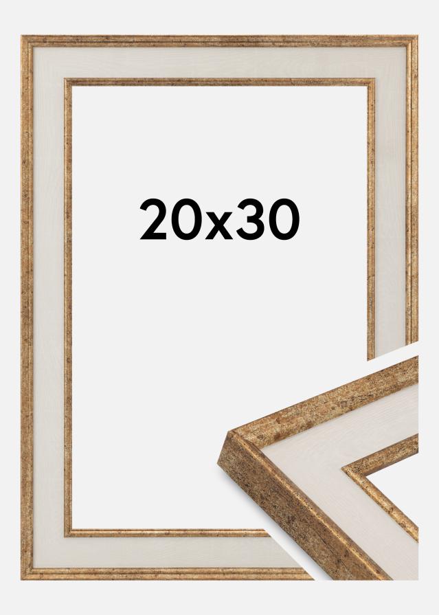 Rám Dolly Akrylové sklo Zlatá 20x30 cm