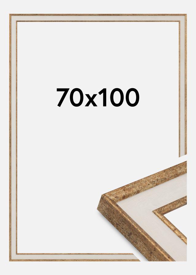 Rám Dolly Akrylové sklo Zlatá 70x100 cm