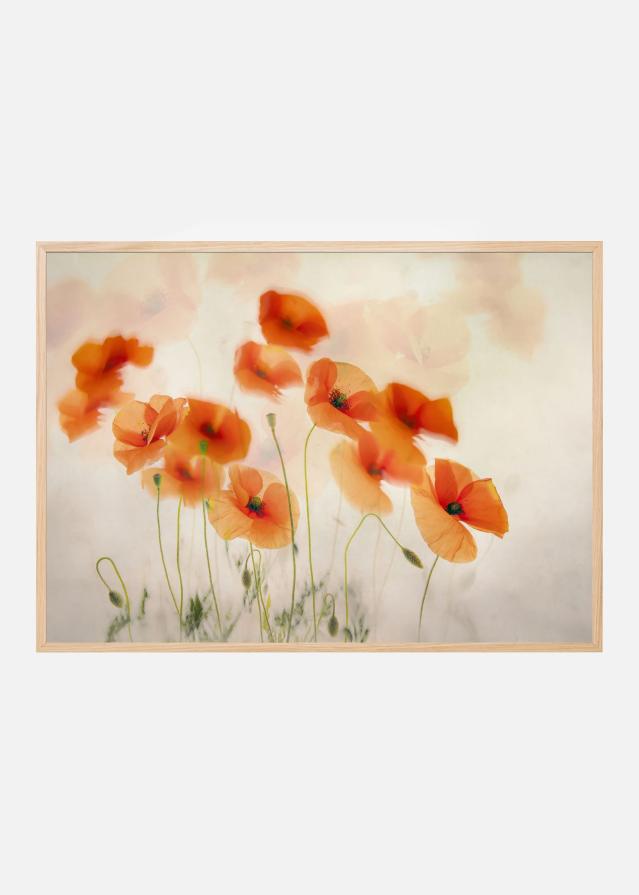 Waving in the wind Plakát