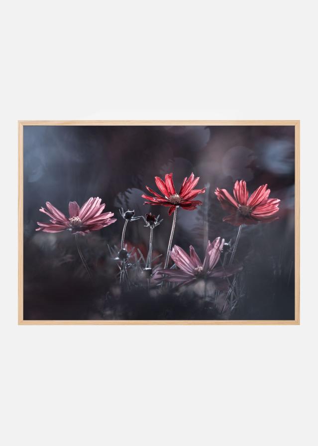 Les fleurs du Bien Plakát