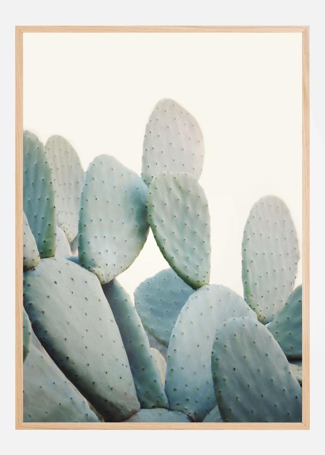 Pastel Cacti Plakát
