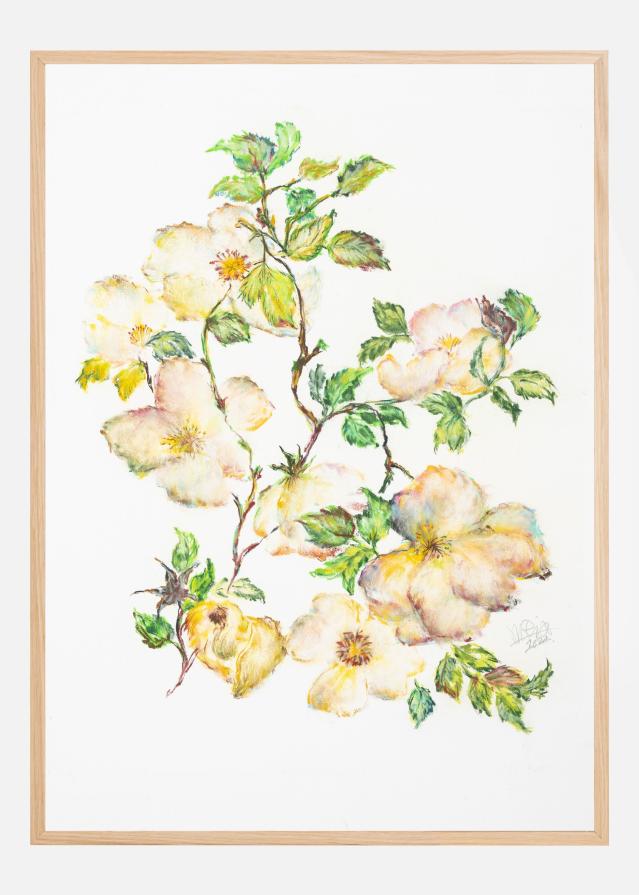 Flower Of Life V Plakát