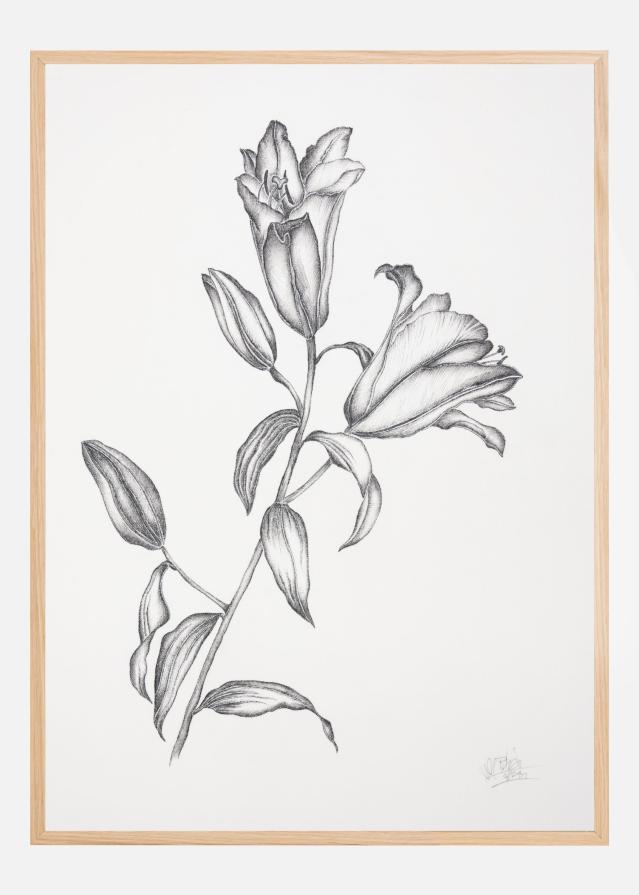 Where Have All the Flowers Gone V Plakát