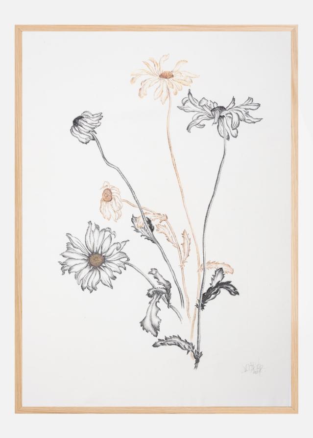 Where Have All the Flowers Gone Plakát