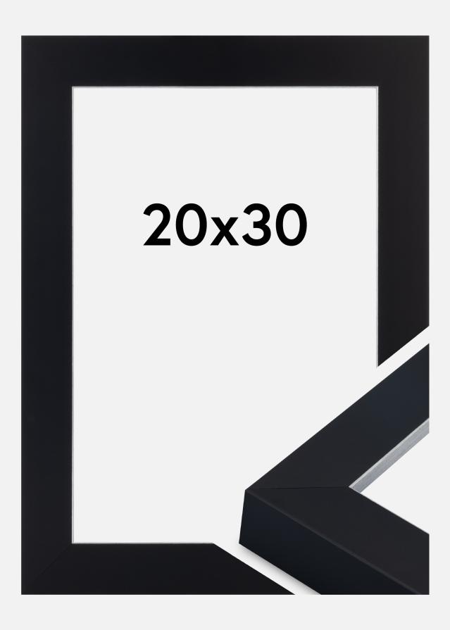 Rám Sussex Akrylové sklo Černá/Stříbrná 20x30 cm