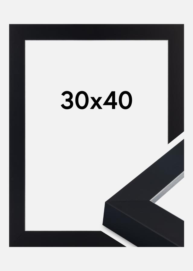 Rám Sussex Akrylové sklo Černá/Stříbrná 30x40 cm