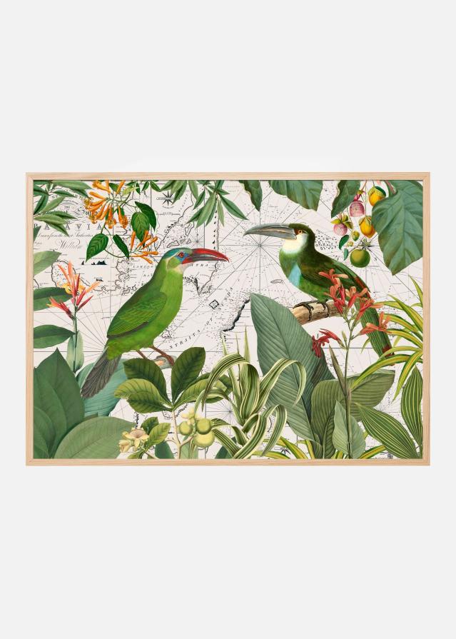 Parrots Nostalgic Journey 3 Plakát