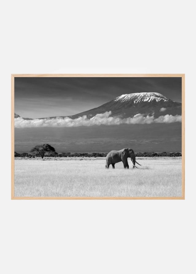 Lost Colors II Plakát