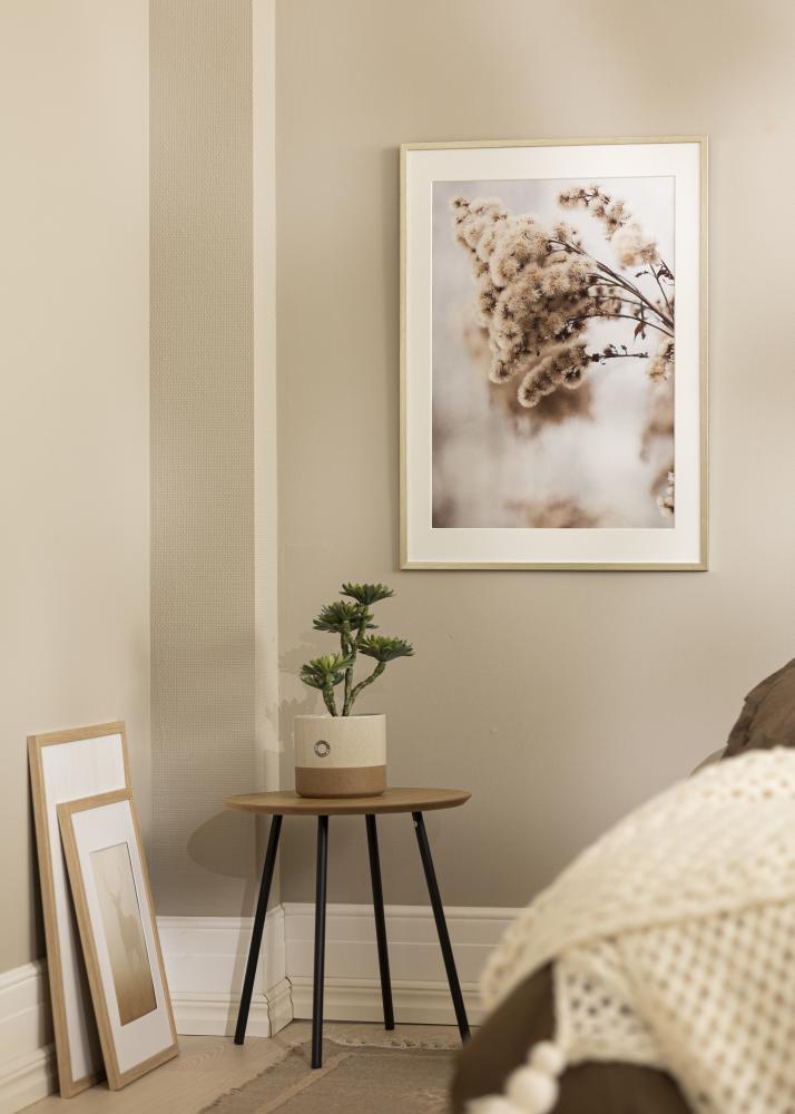 Rám Edsbyn stříbro 40x45 cm - Pasparty Bílý 11x13 inches