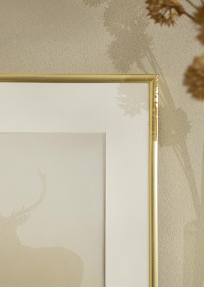 Rám New Lifestyle zlato 20x20 cm - Pasparty Bílý 15x15 cm