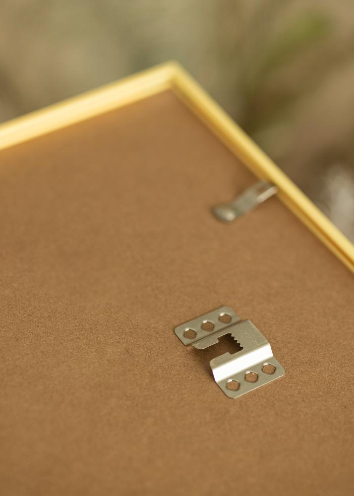 Rám New Lifestyle zlato 60x90 cm - Pasparty Bílý 50x75 cm