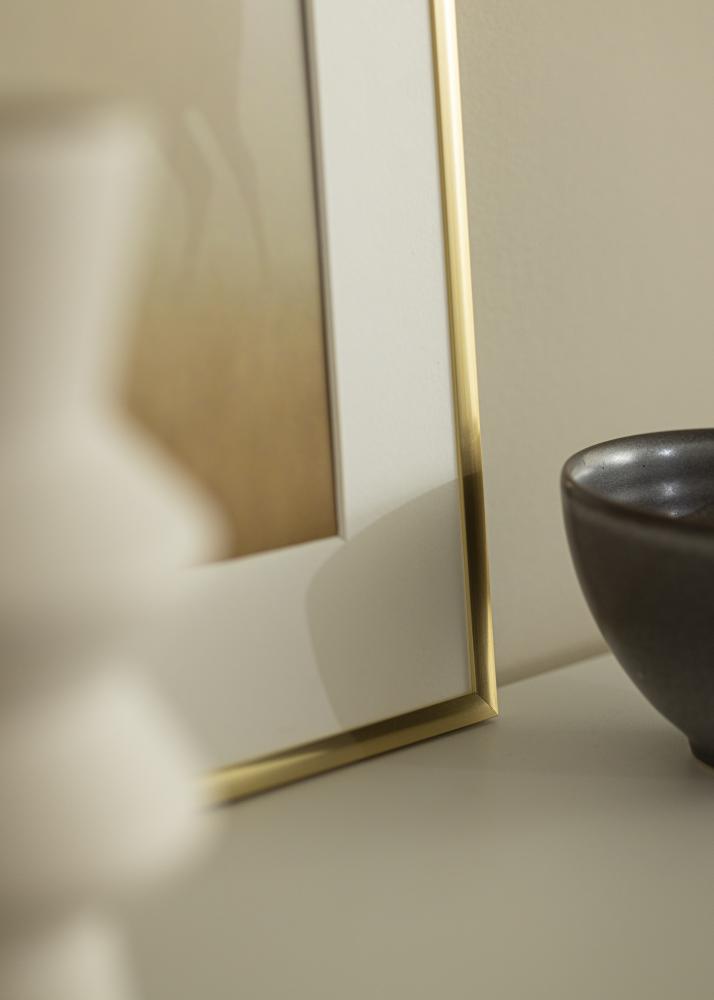 Rám New Lifestyle zlato 60x90 cm - Pasparty Bílý 50x75 cm