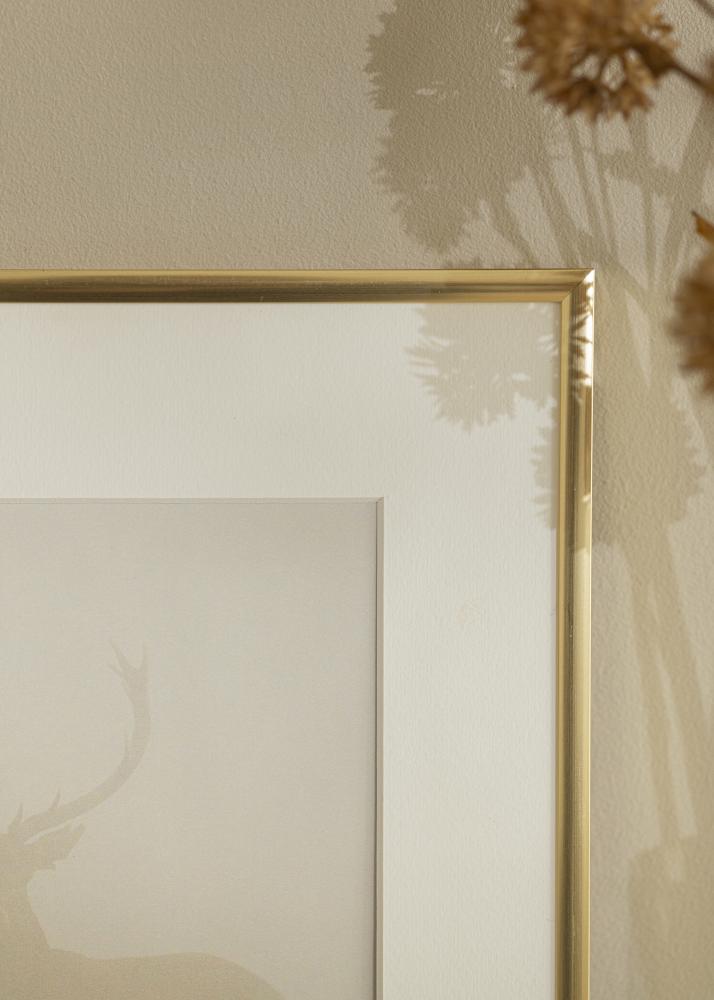 Rám New Lifestyle zlato 60x90 cm - Pasparty Bílý 50x75 cm