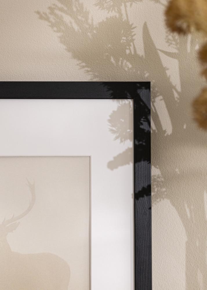 Rám Stilren černý 56x71 cm - Pasparty Bílý 46x61 cm