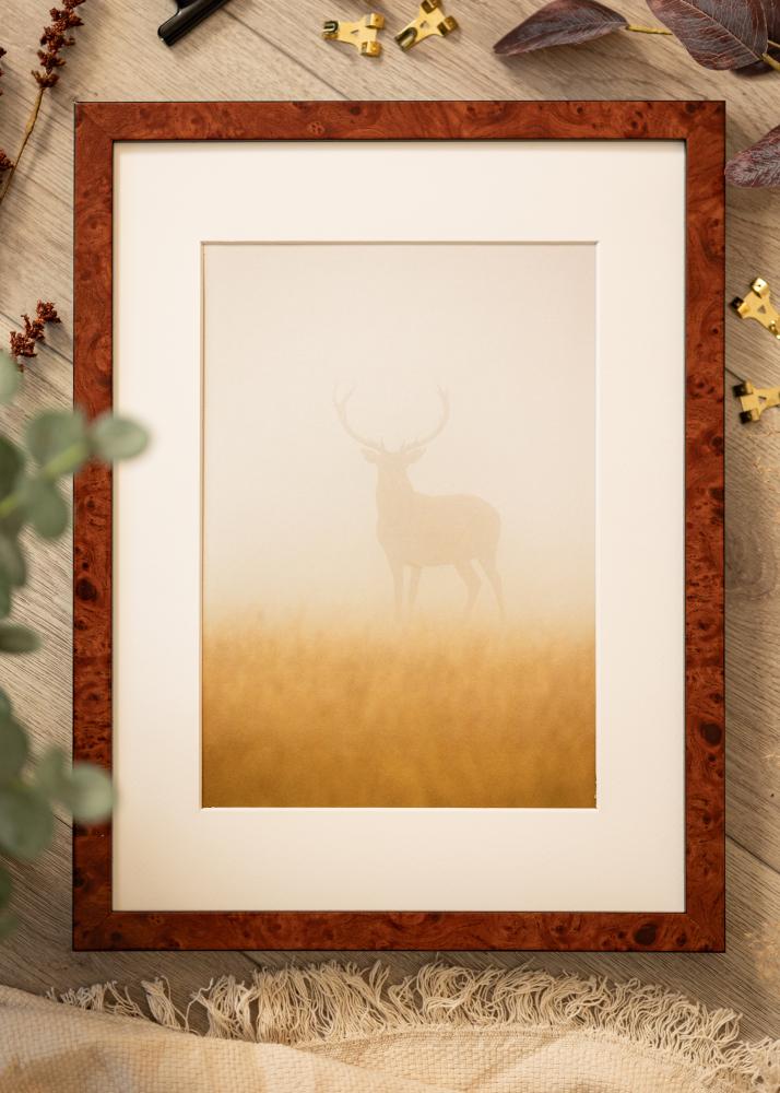 Rám Hermes vlašský ořech 60x80 cm - Pasparty Bílý 20x28 inches