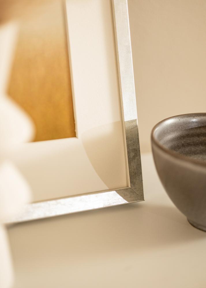 Rám Ares stříbro 24x30 cm - Pasparty Bílý 7x9 inches