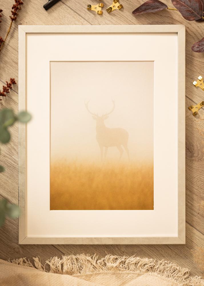 Rám Ares stříbro 24x30 cm - Pasparty Bílý 7x9 inches