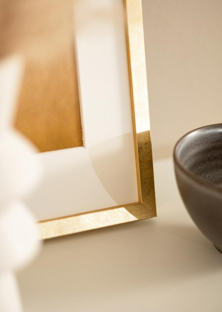 Rám Ares zlato 50x60 cm - Pasparty Bílý 16x20 inches