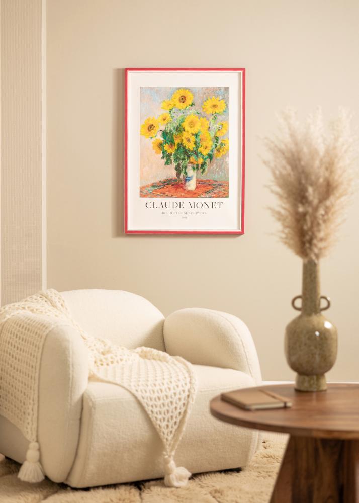 Rám Diana ČERVENÝ 45x60 cm - Pasparty Bílý 35x50 cm