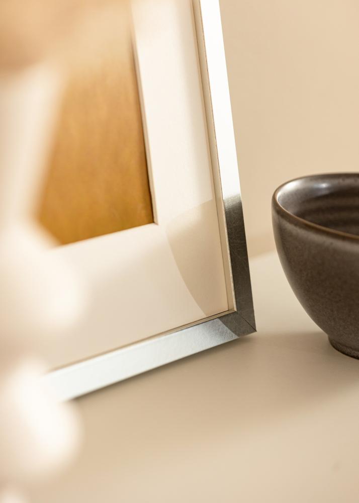 Rám Minerva stříbro 30x40 cm - Pasparty Bílý 20x28 cm