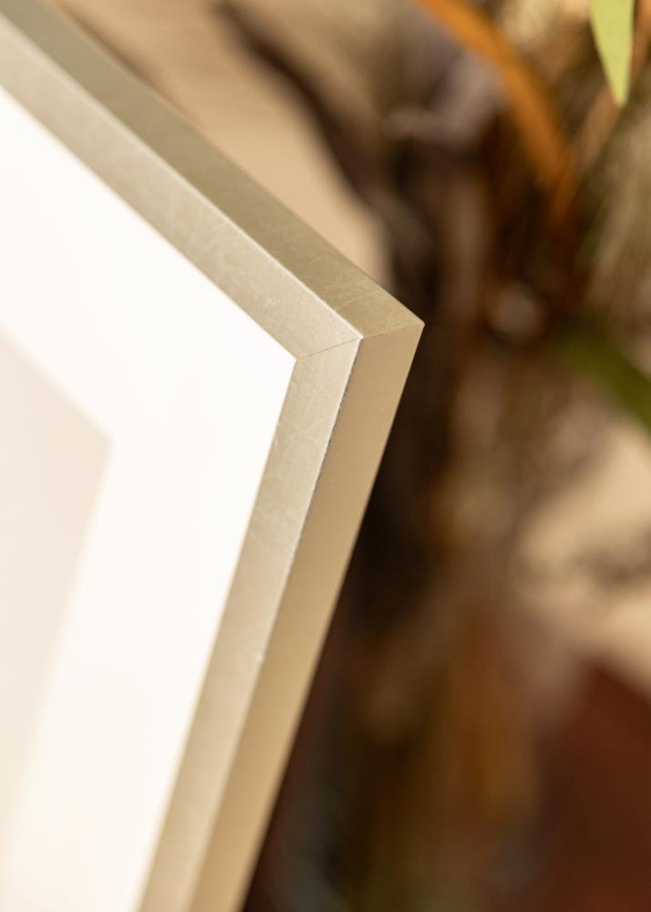 Rám Minerva stříbro 30x40 cm - Pasparty Bílý 20x28 cm